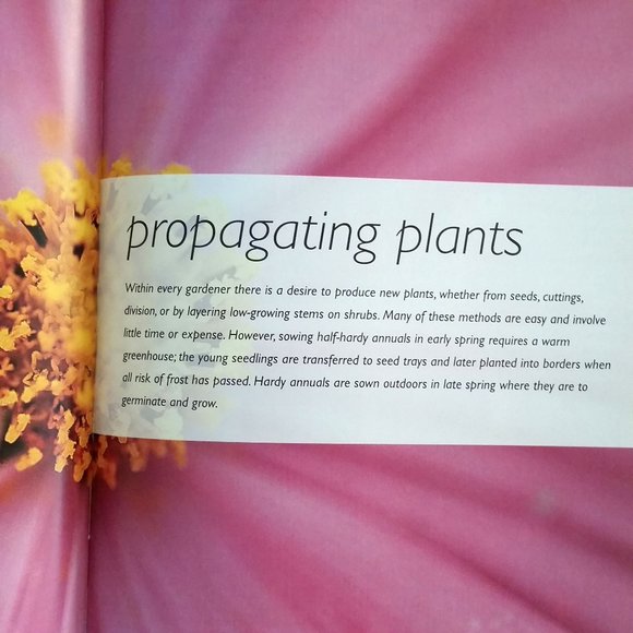 'The Small Garden' by David Squire - Picture 6 of 8